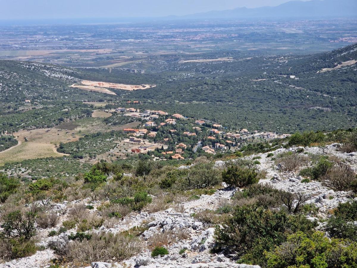 Trois Appartements Au Sein Du Mas Jams - Le Gouleyrous, Le Canigou Et Le Figarassa Vingrau Εξωτερικό φωτογραφία