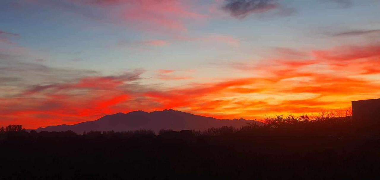 Trois Appartements Au Sein Du Mas Jams - Le Gouleyrous, Le Canigou Et Le Figarassa Vingrau Εξωτερικό φωτογραφία